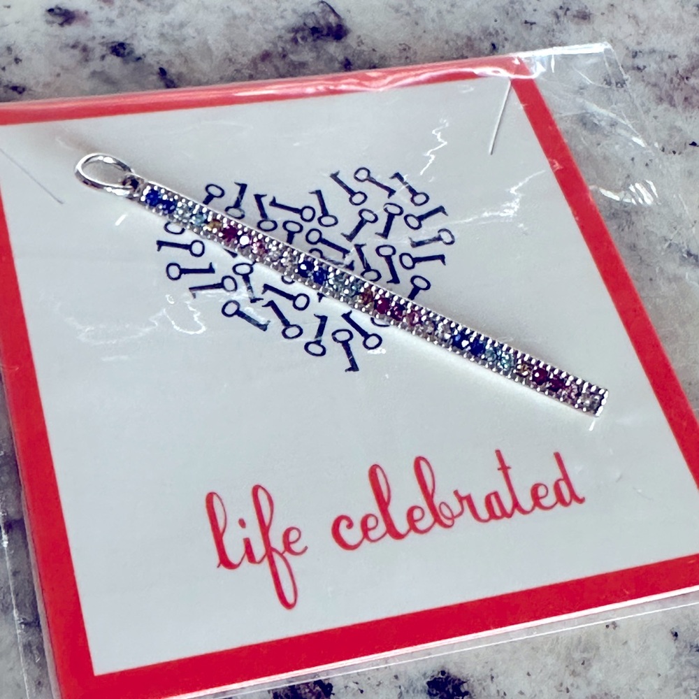 Rainbow 🌈 Pave Bar Silver Necklace Charm